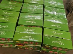 8月10日，商丘利菲爾特開(kāi)展高溫送清涼活動(dòng)